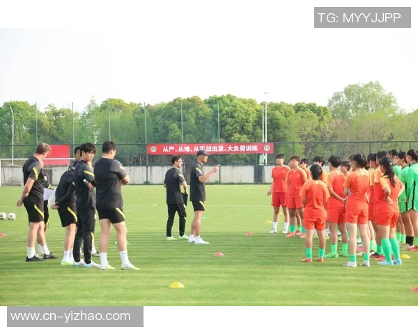 职业足球与业余足球的技术水平与竞技环境差异分析